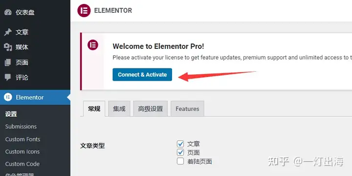 图片[18]-Elementor插件及教程，如何使用Elementor搭建网站（2024）-2Y资源