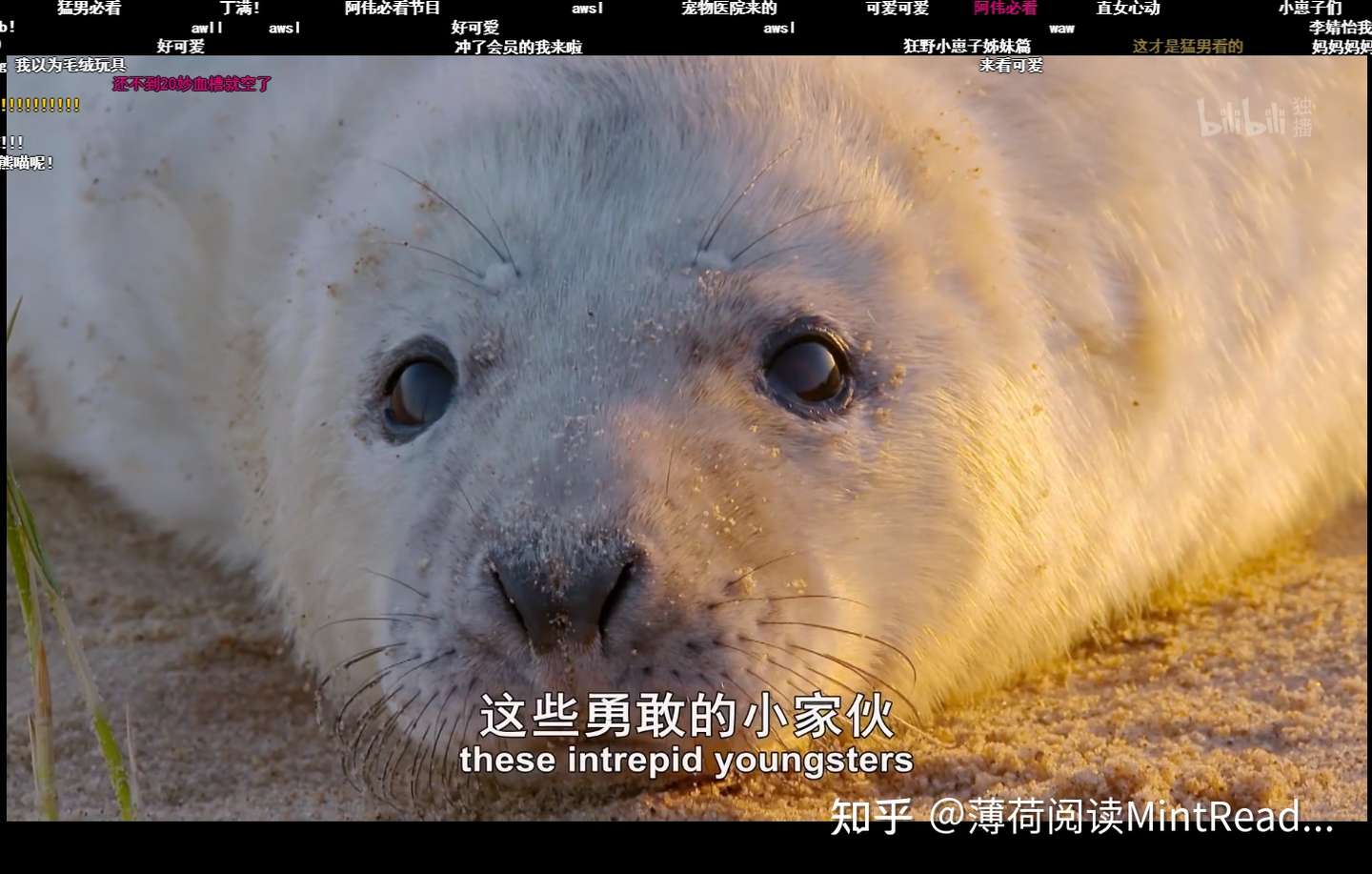 求推荐好的英语阅读app 要free的 知乎