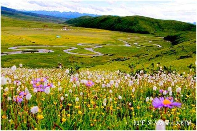6月四川去哪儿旅游好 红原俄木塘草原花海自驾游线路攻略 知乎