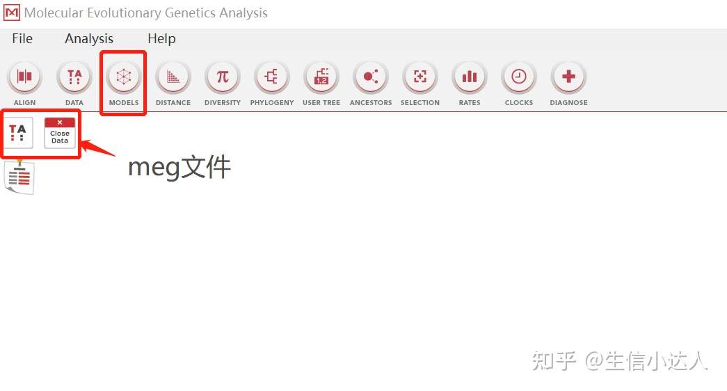 用mega软件做进化分析 系统发育树 知乎