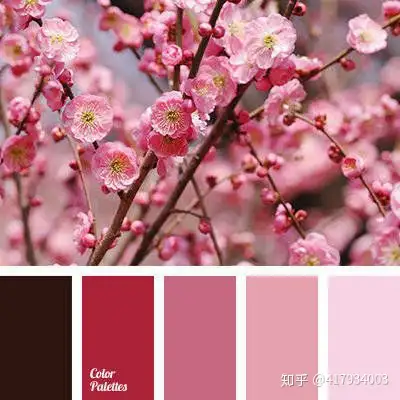 设计配色红色系列