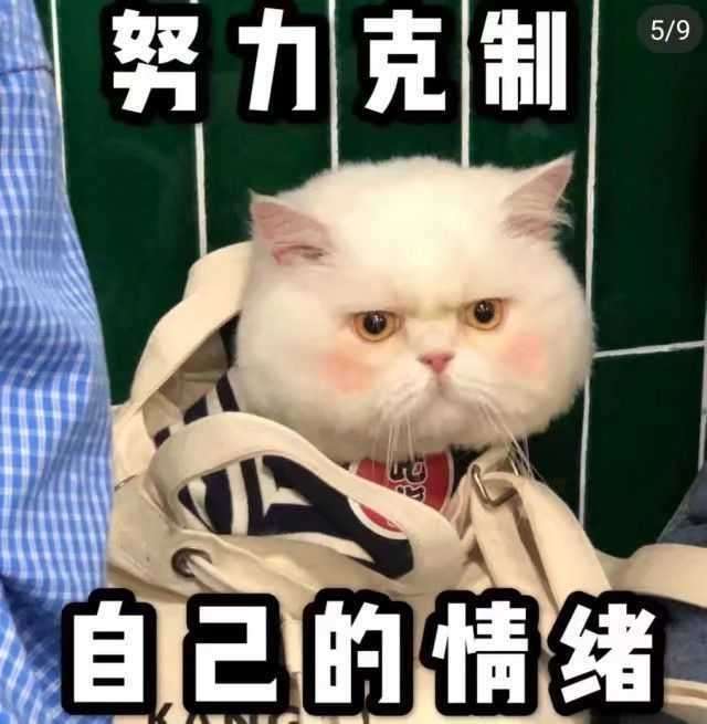 穿越到虐文里当女配.1 - 知乎