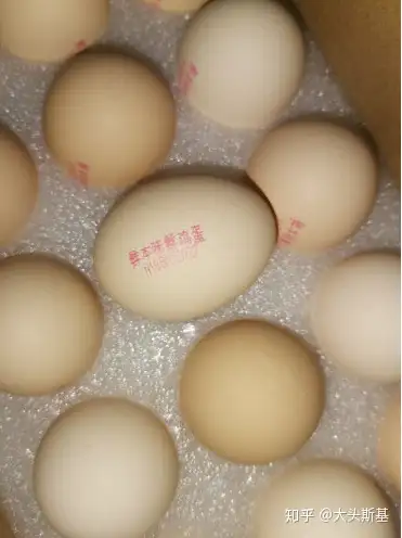 好吃的四款网购鸡蛋推荐美味亲测