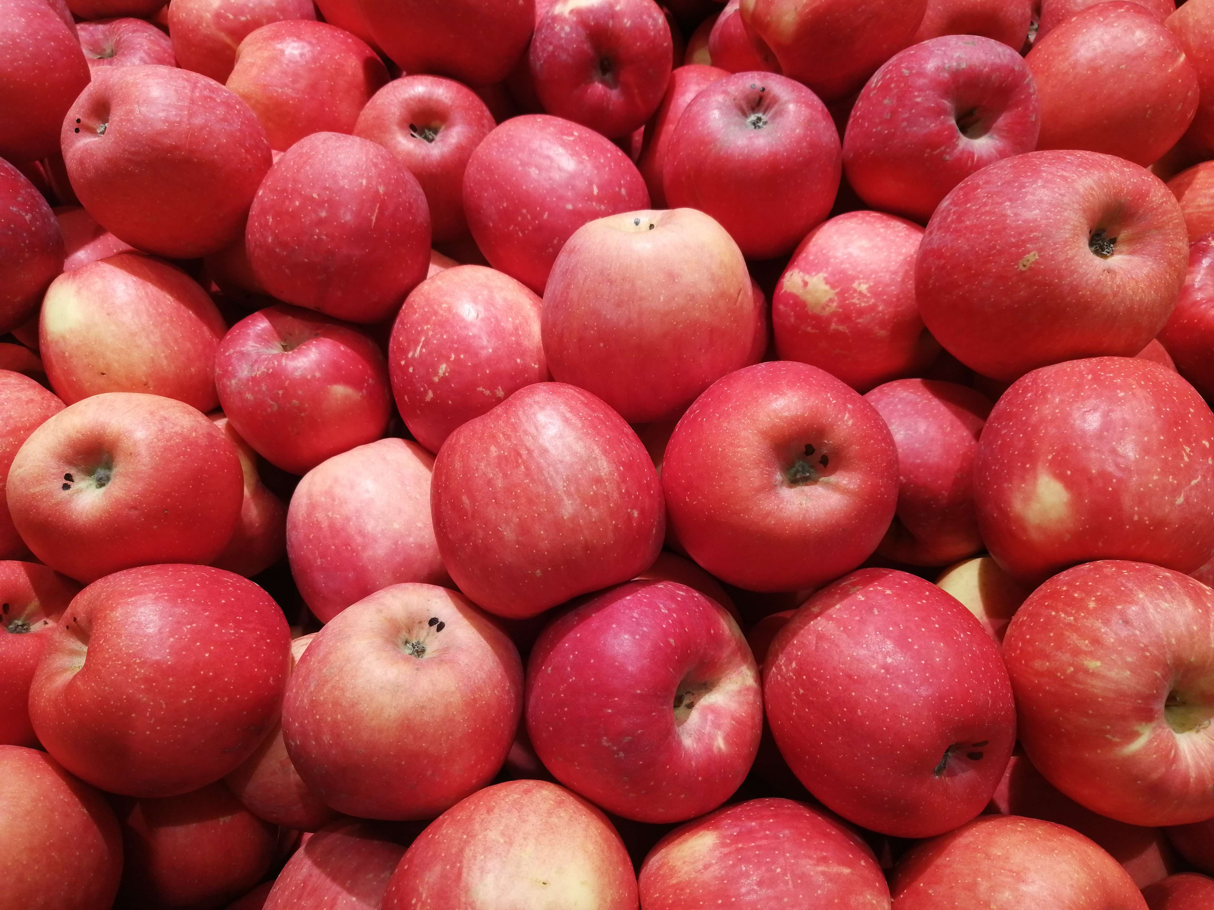 摘一颗苹果7公粽号:悦心果