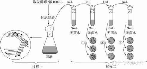 发酵工程：绿色制造的新引擎