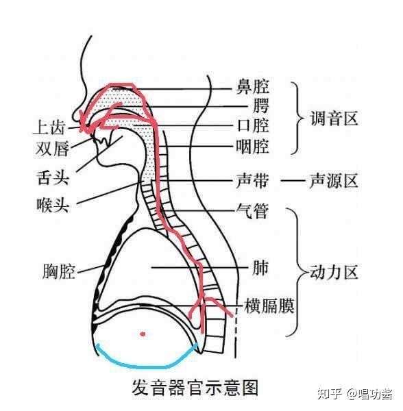 請問唱歌不會給氣,氣息不足可咋整呀?