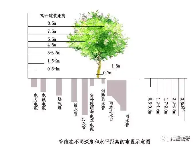 详解|城市道路绿地景观设计