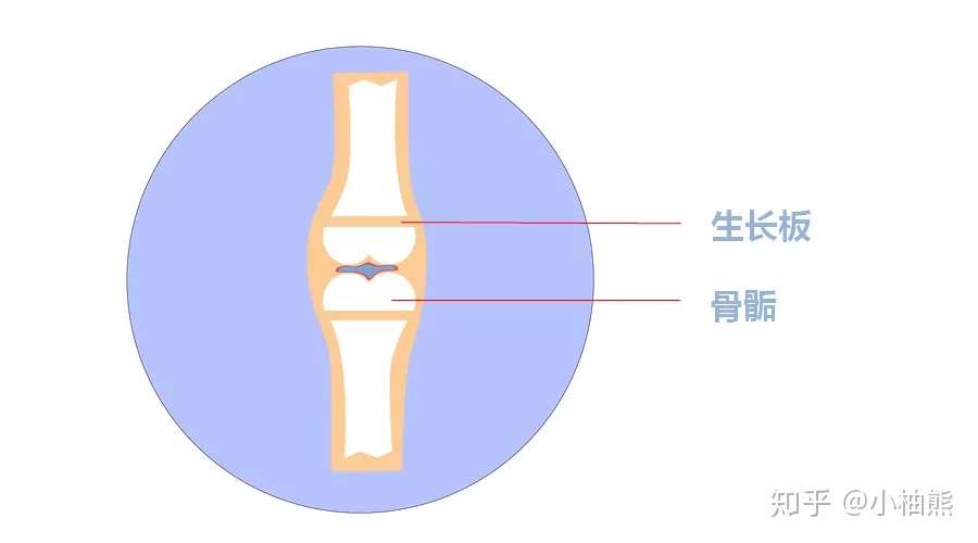 小柚熊 限制孩子长高的 主要因素 知乎