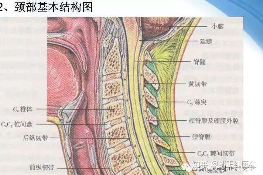 颈椎病系列 一 评估 治疗 锻炼 知乎