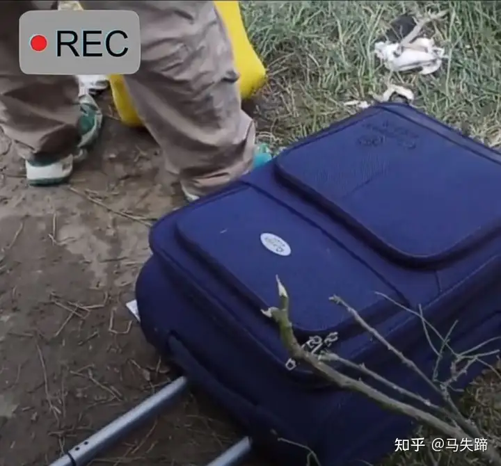 中国大姐在美墨边境试图翻越边境围墙，她能成功吗 - 墨华网 (图3)