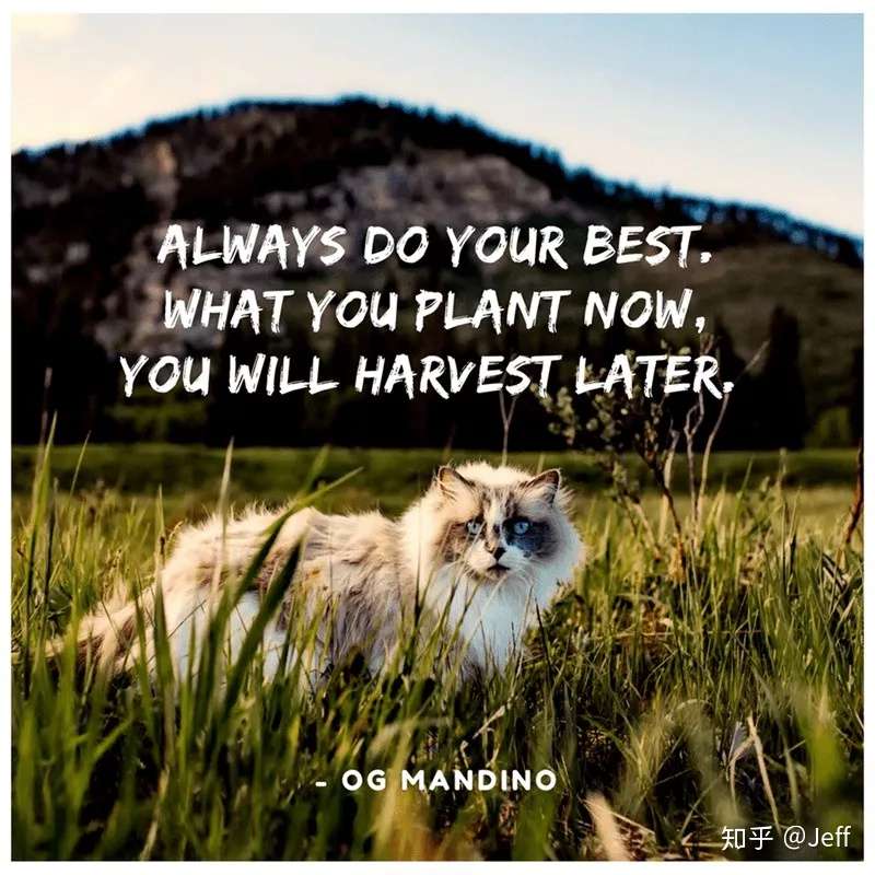 双语名言 事情未成功之前 一切总看似不可能 知乎