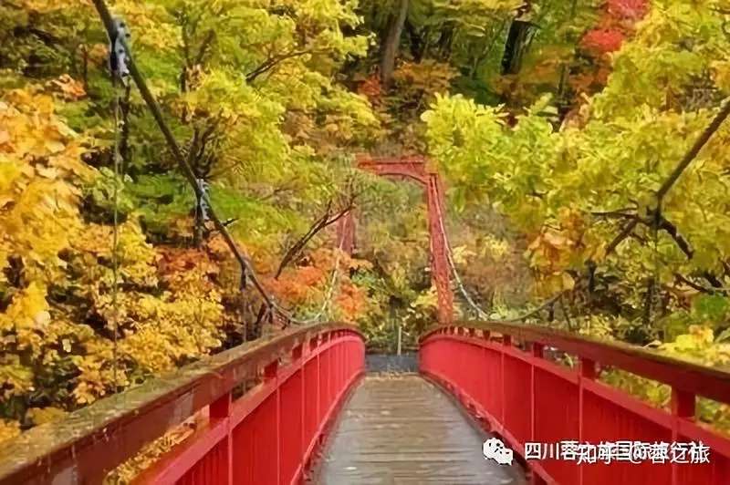 19日本枫叶季 赏枫地点集锦 值得收藏 知乎 19日本枫叶季 赏枫地点集锦 值得收藏 知乎