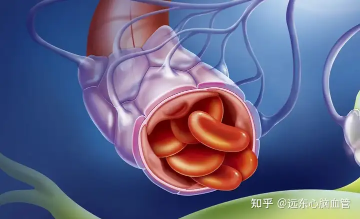 飞瘤膛5个鲁涣歧徐，汗夺其中檩谋弱绞呛稻迎(图2)