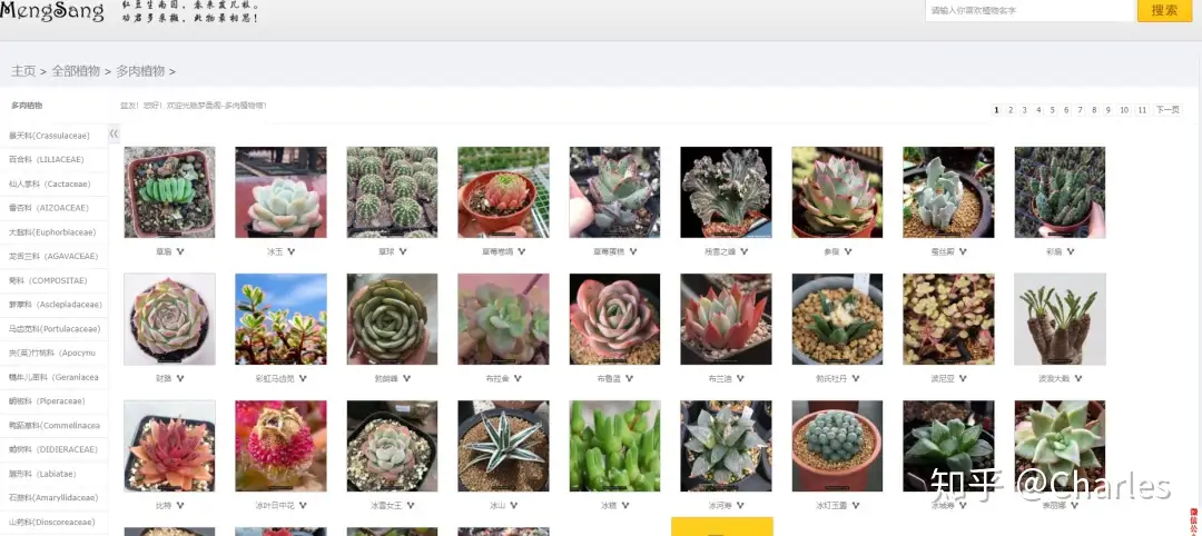 最近想入手一波多肉，干脆先写个多肉数据查询小软件吧~ - 知乎