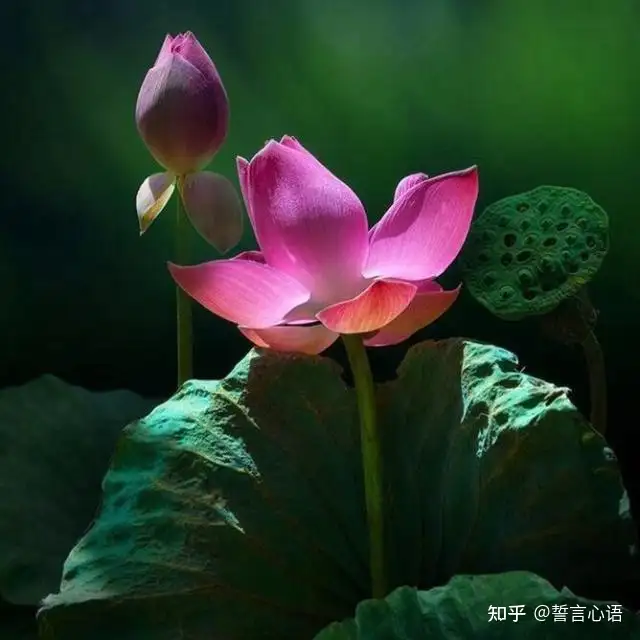 特别暖心的早安一句话，简短精致，越看越爱！（一句暖心的早安心语）