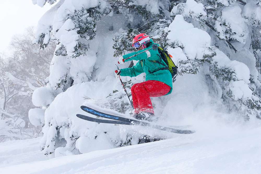 如何选滑雪板 理工男兼滑雪专家给出最全攻略 知乎 如何选滑雪板 理工男兼滑雪专家给出最全攻略 知乎