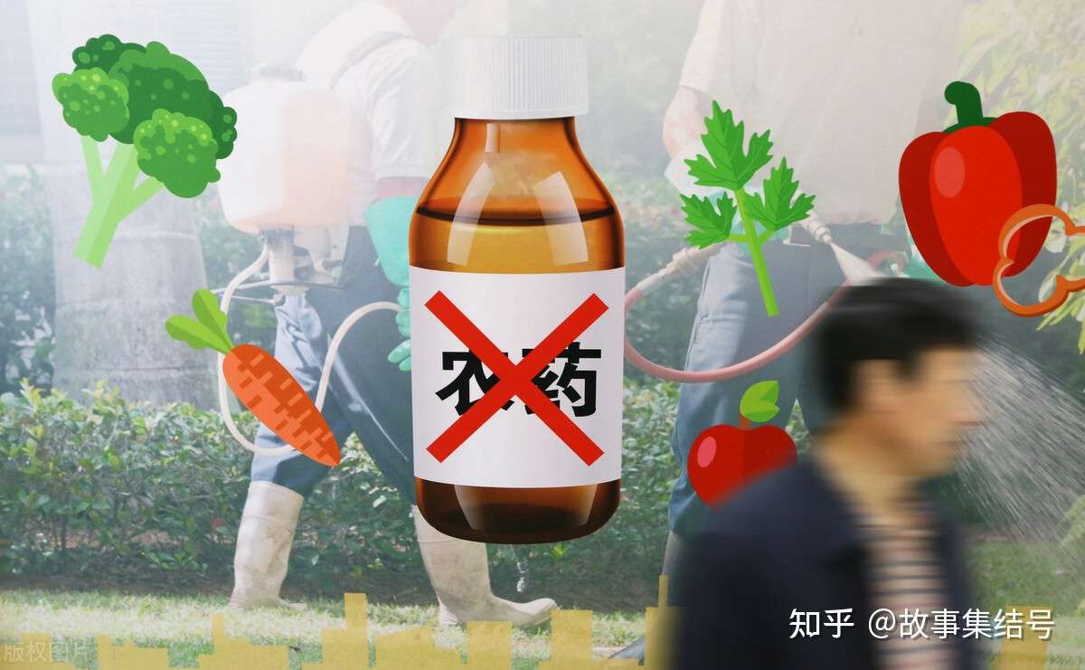 百草枯之殇 农药万毒之王 知乎