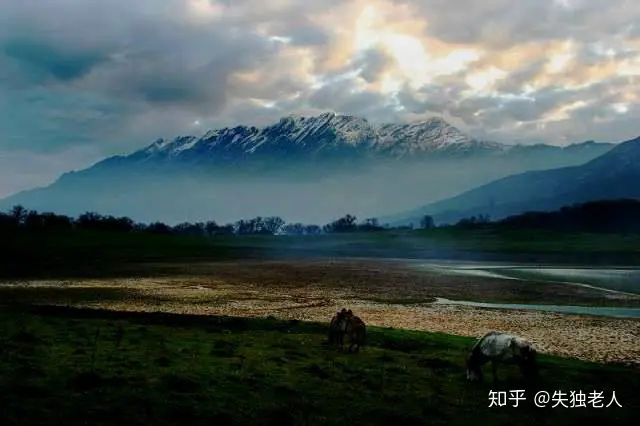 蒲岛，一片人们对它善恶难辨的神秘土地。” - 知乎