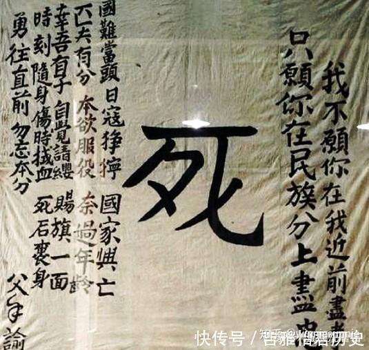 有哪些照片或视频让你一见难忘?