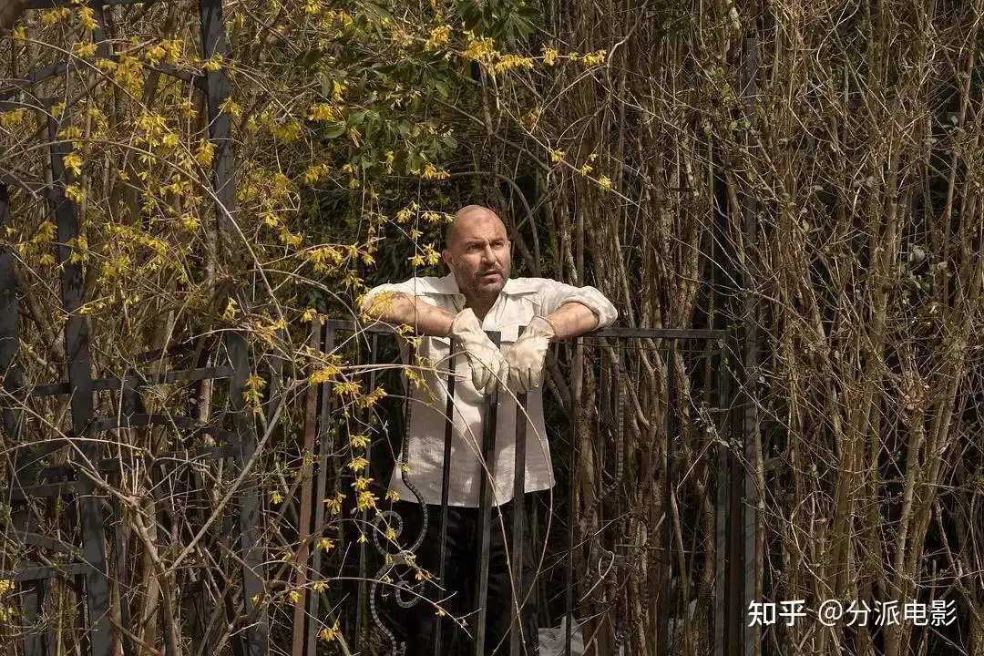 《拥挤的房间》是荷兰弟真不行,还是剧集真变态?