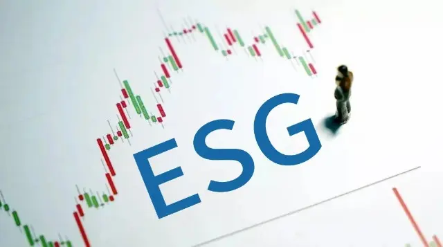 ESG治理架构的选择｜ESG洞察