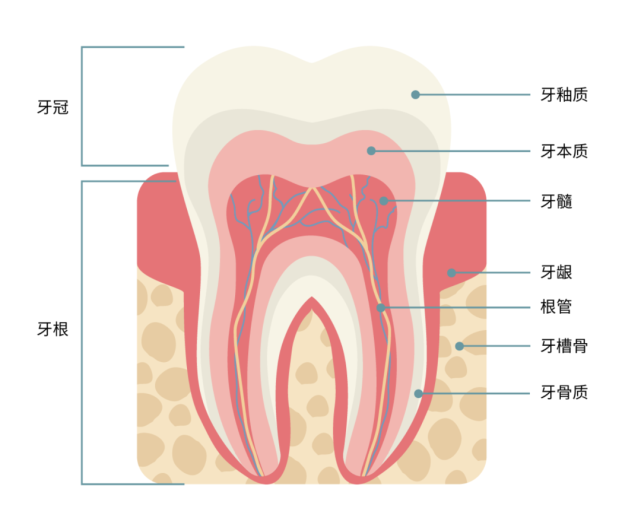 医生,你补牙就补牙,磨那么大洞干嘛?
