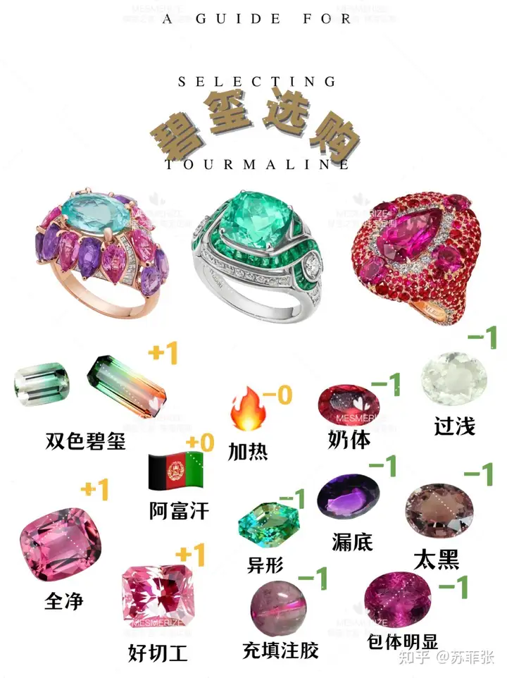 【碧璽購買指南】選購建議!快速入門!