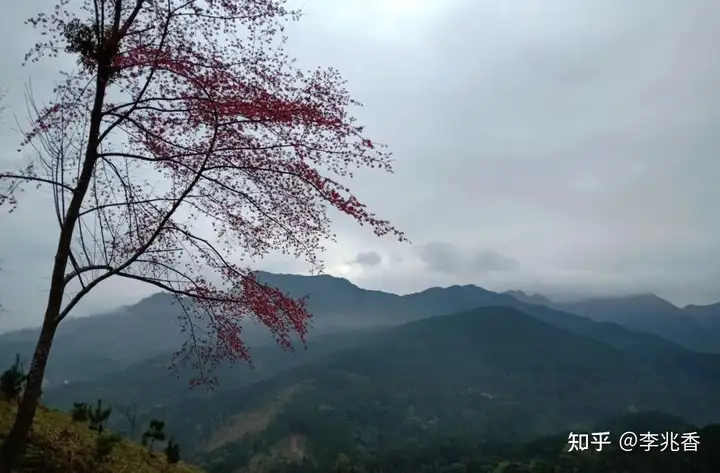 真没想到（适合发朋友圈思乡的句子）长期宅在家里出现心理问题 第1张