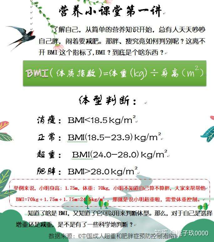 营养小常识 啥是bmi 知乎