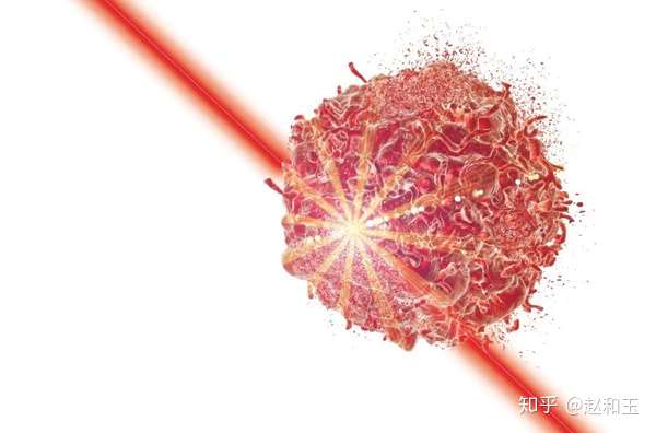 療法 光 2020 免疫 革新的がん治療法「光免疫療法」が薬事承認