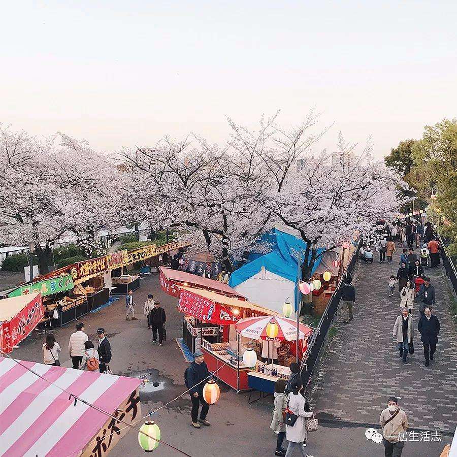 大数据生成的赏花地图 科学告别人挤人的旅行 知乎