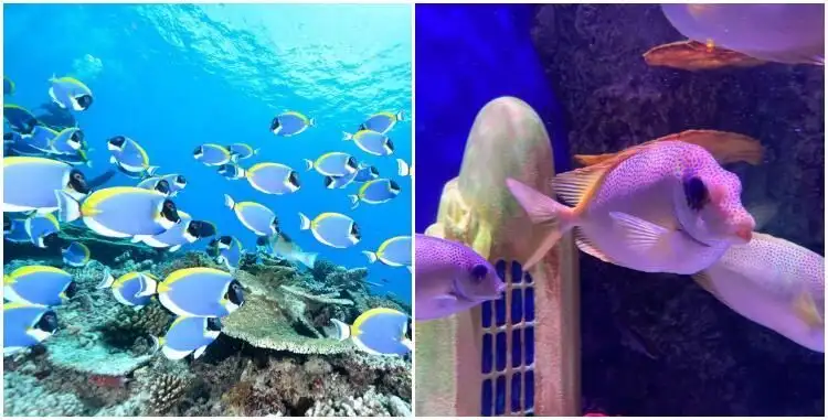 世界海洋日| 徜徉于新泽西海洋生物水族馆，记录趣味纽约旅行- 知乎