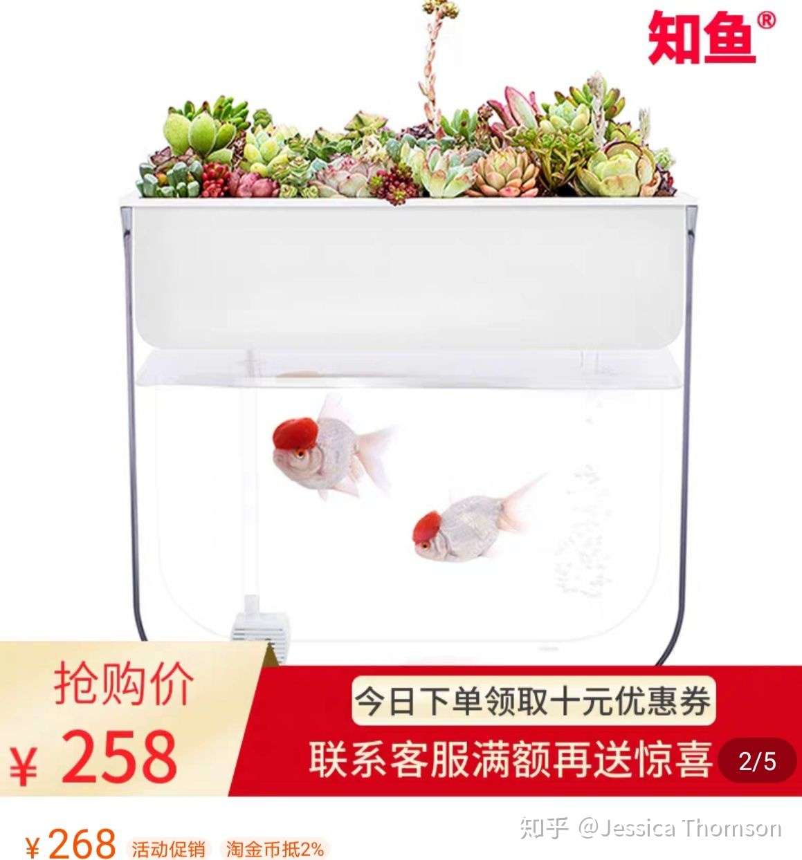 记录一下新手小白的开缸过程 知乎