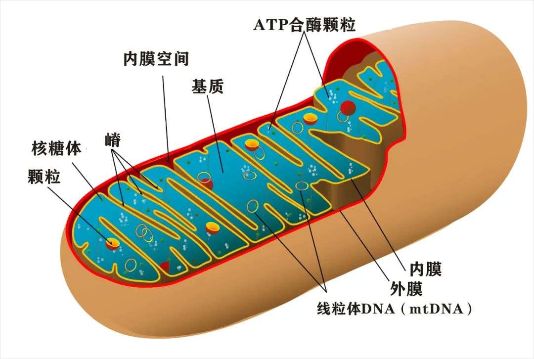 知乎专栏