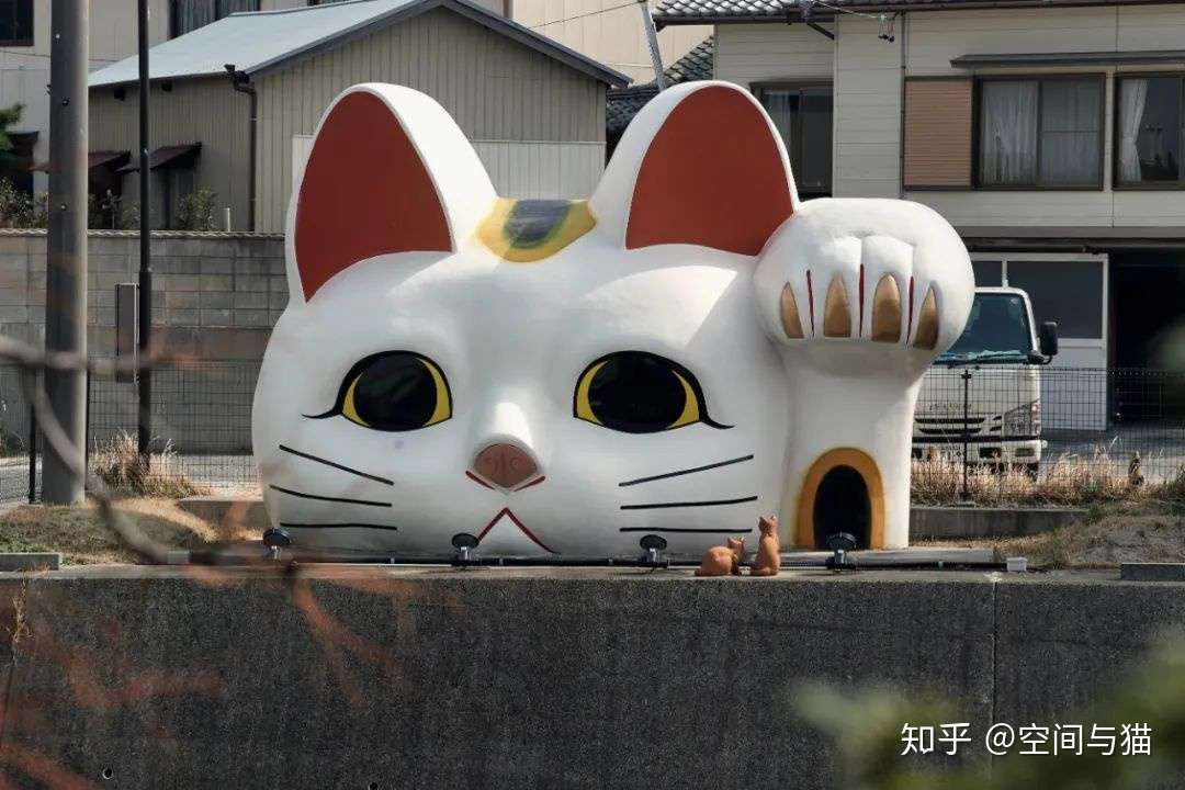 空间与猫，实现人宠和谐共生- 知乎