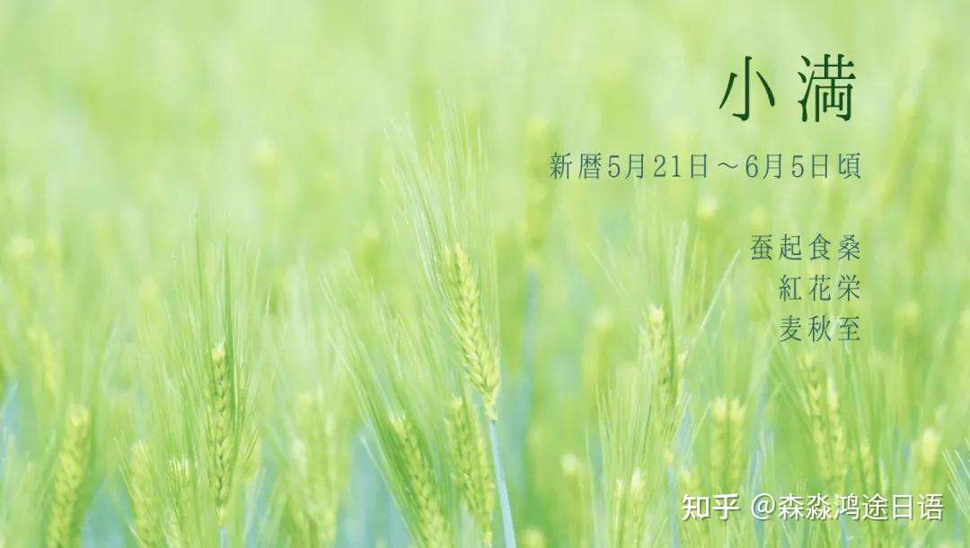 小满 日本有哪些风物诗 知乎