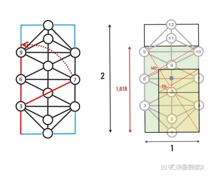 死亡之花和生命之花的区别(图27)
