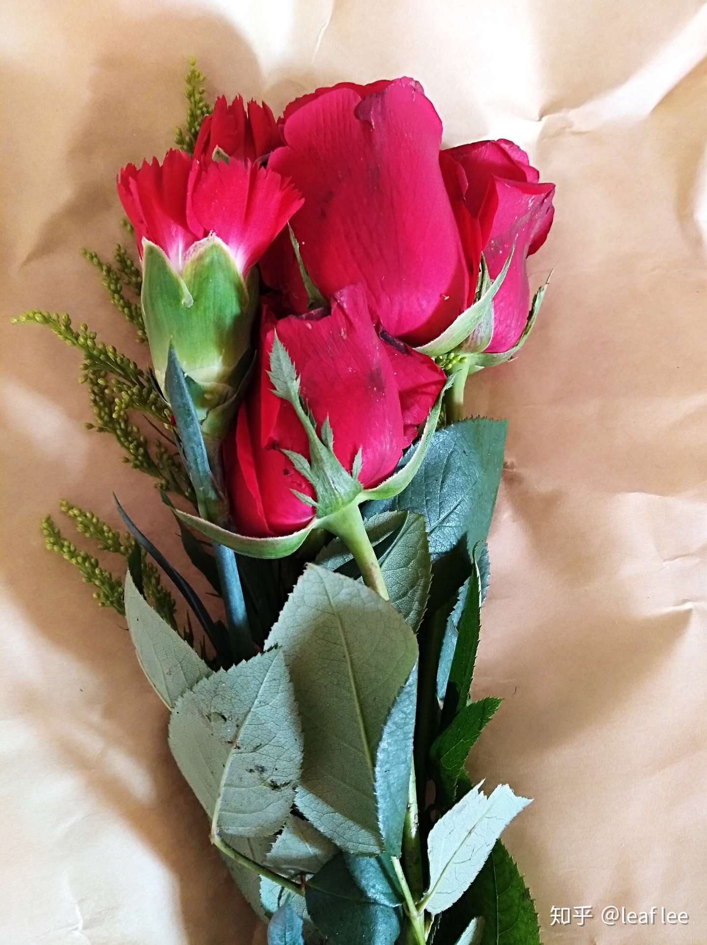 花做正红色最骄 乱谈鲜花中的所谓色彩学 门客生活收花日记第二十三周 知乎