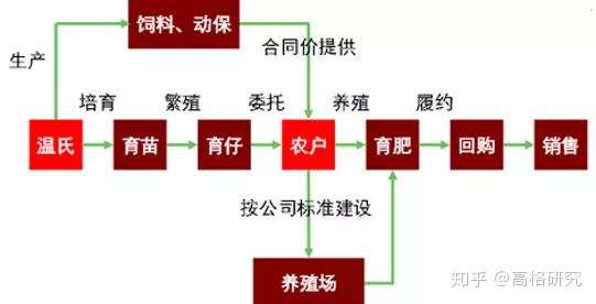 猪太傅饲料