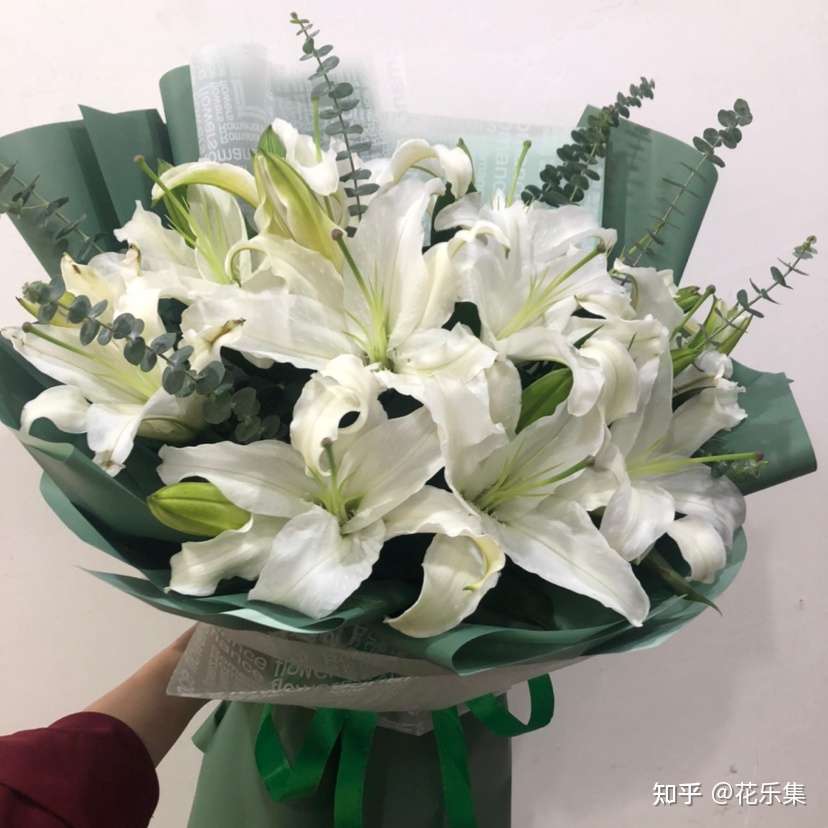 白羊座生日花礼来了 知乎