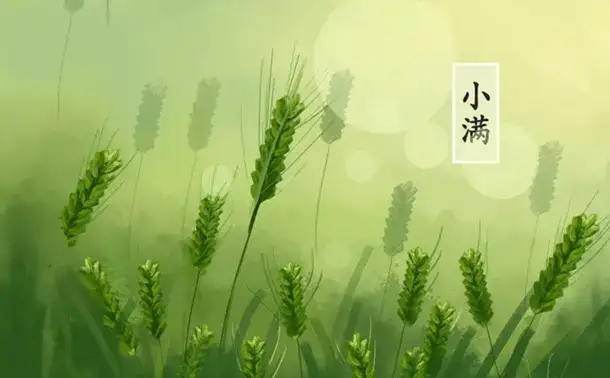 二十四节气——小满的来历和风俗
