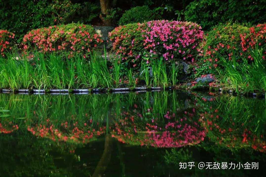 平安神宫 日本最盛唐风格的景点 知乎