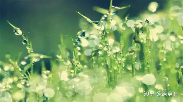 一年中最重要的8个节气之一！夏至的含义知多少？