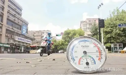 公益行动——绿元气夏日送清凉(公益在行动)