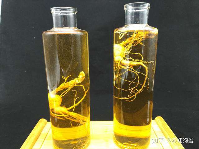 人参酒泡制方法与比例 目前人参界最全的资料 知乎