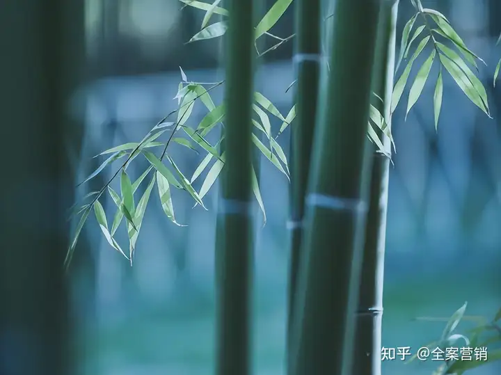 争创天府旅游名县｜再见2022，细数那些时光里的小美好