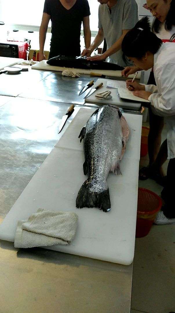 v2-cfc990acffb577cc32e2bf7224c69718_720w.jpg?source=1940ef5c