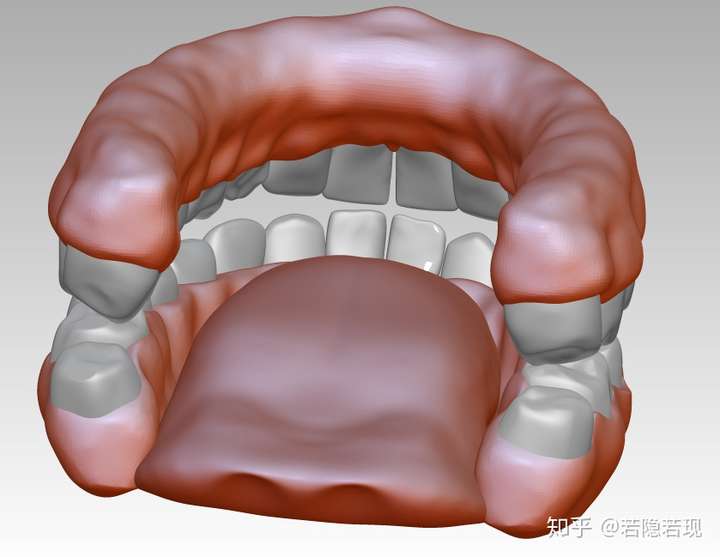 牙齿牙龈3d图下载3d口腔模型下载逼真高清牙龈模型图片素材