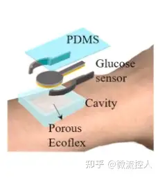 新型可穿戴无创非酶葡萄糖传感器监测汗液中的葡萄糖水平