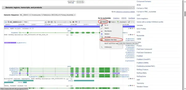 《NCBI保姆级使用教程（包含如何查找CDS、启动子、5'UTR和3'UTR、lncRNA序列）》